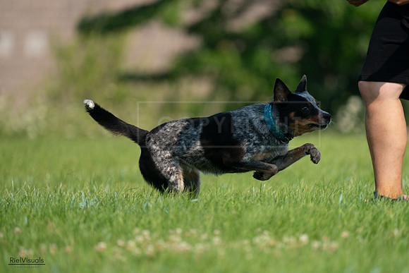RielVisuals_20240727_094837_SJR07630