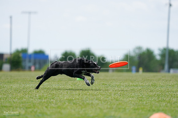 RielVisuals_20240525_124900_SJR01219