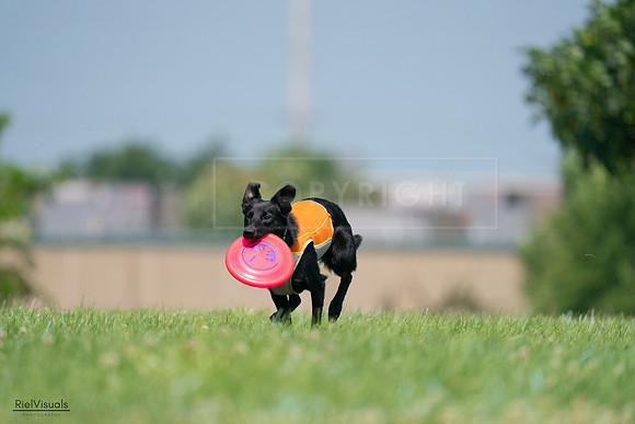 RielVisuals_20240727_115423_SJR04229