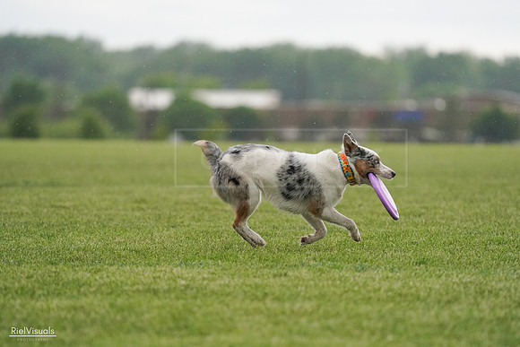 RielVisuals_20240526_092906_SJR00164