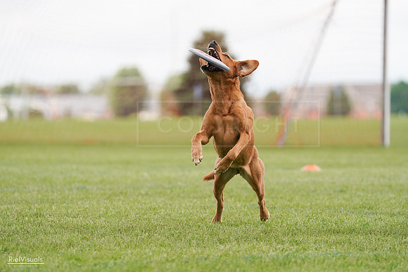 RielVisuals_20240527_141102_SJR01764
