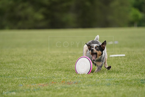 RielVisuals_20240526_132212_SJR07599