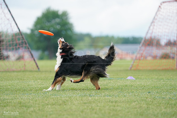 RielVisuals_20240527_142349_SJR02565