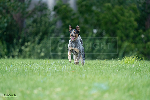 RielVisuals_20240727_133934_SJR07944