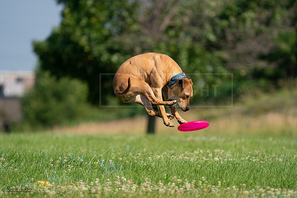 RielVisuals_20240727_093110_SJR06630