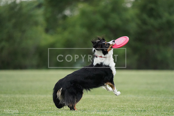 RielVisuals_20240525_180109_SJR08972