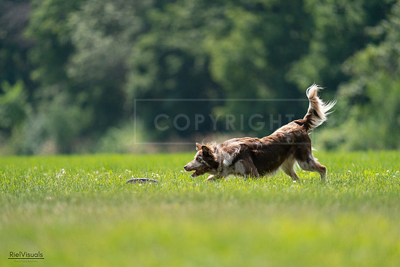 RielVisuals_20240727_131200_SJR07140