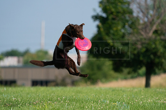 RielVisuals_20240727_092525_SJR06310