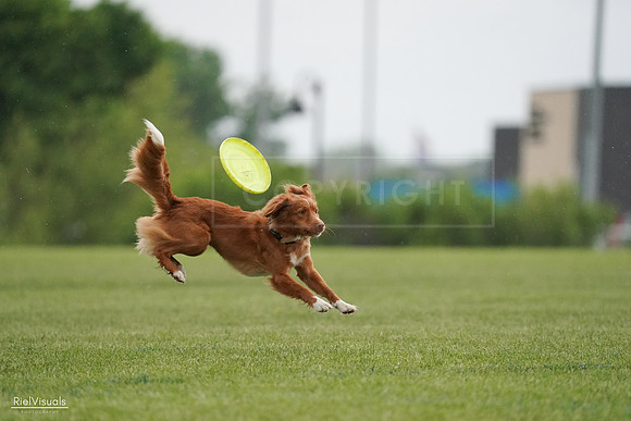 RielVisuals_20240526_093131_SJR00291