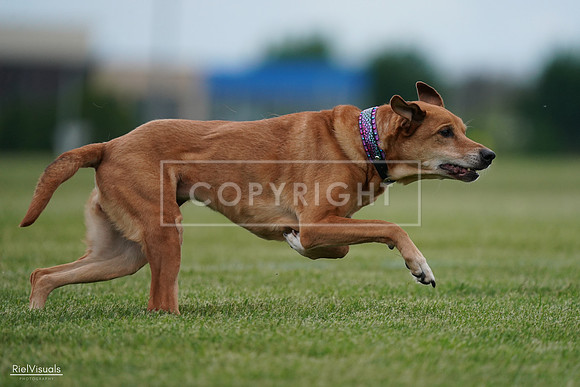 RielVisuals_20240525_161832_SJR04035