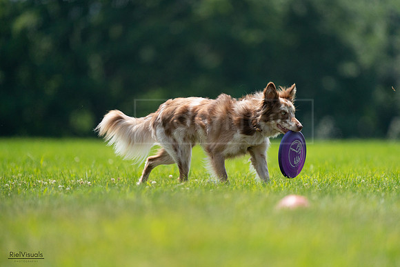 RielVisuals_20240727_131206_SJR07154