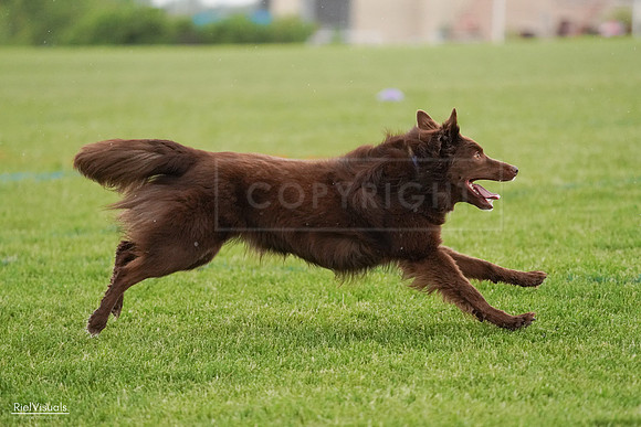 RielVisuals_20240526_094208_SJR00830
