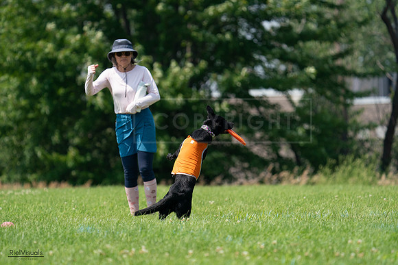 RielVisuals_20240727_134431_SJR08201