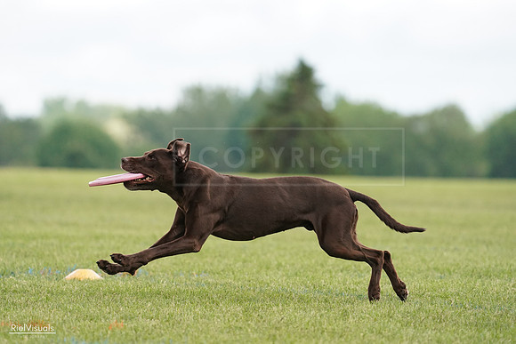 RielVisuals_20240527_140524_SJR01413
