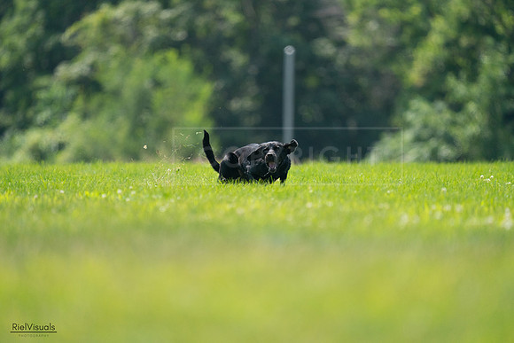 RielVisuals_20240727_125314_SJR06276