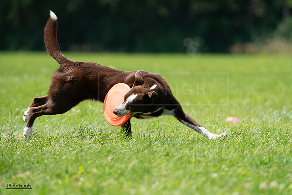 RielVisuals_20240728_124505_SJR04622