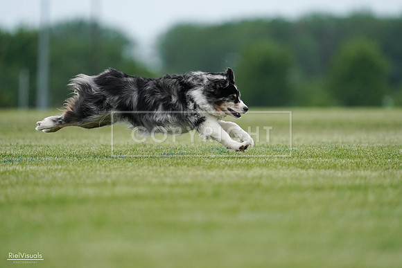 RielVisuals_20240525_163042_SJR04676