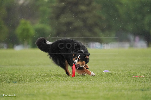 RielVisuals_20240526_094559_SJR00955