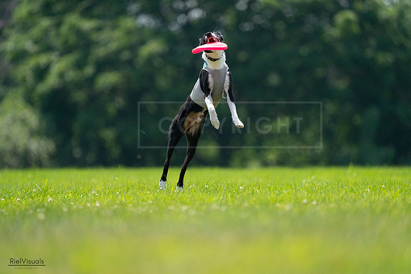 RielVisuals_20240727_130808_SJR06974