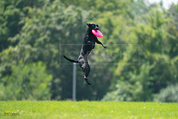 RielVisuals_20240727_131007_SJR07029