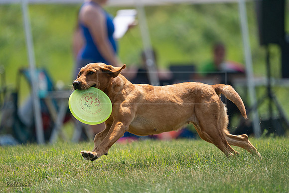 RielVisuals_20240727_122425_SJR05510
