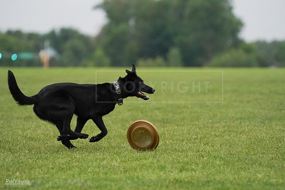 RielVisuals_20240527_093352_SJR07793