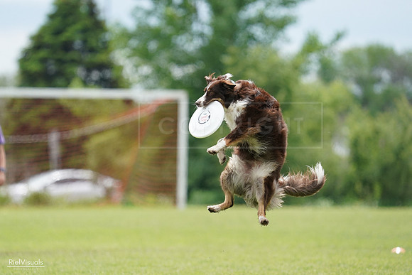 RielVisuals_20240527_135817_SJR01000