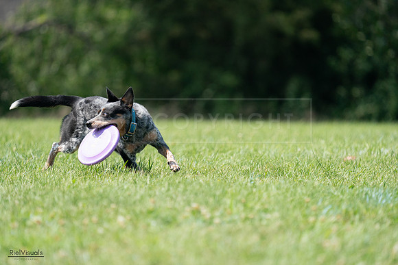 RielVisuals_20240728_145204_SJR09382