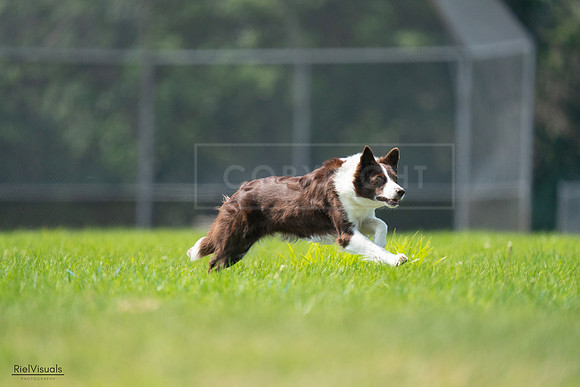 RielVisuals_20240727_115631_SJR04362