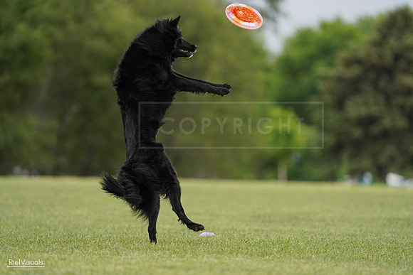 RielVisuals_20240526_133757_SJR08384
