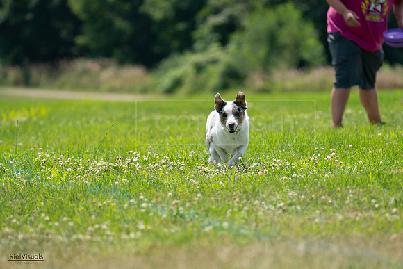 RielVisuals_20240728_130558_SJR05055