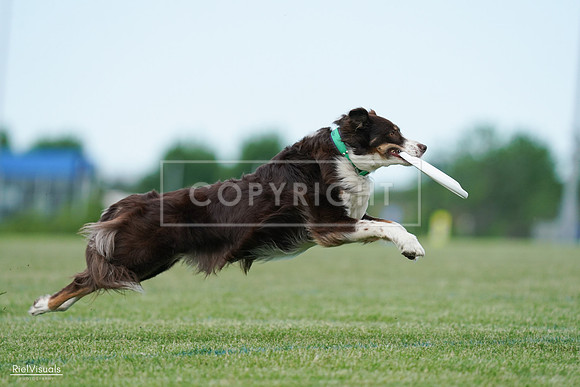 RielVisuals_20240525_090359_SJR09515