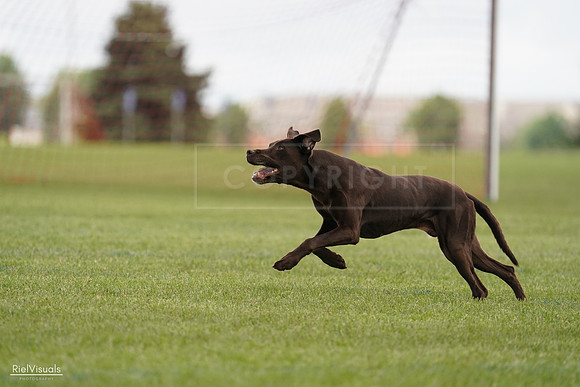 RielVisuals_20240527_140522_SJR01388