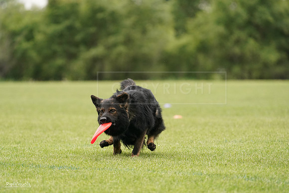 RielVisuals_20240527_132944_SJR00019