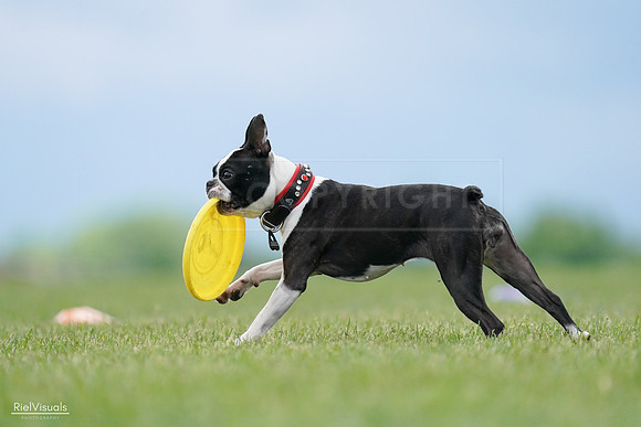 RielVisuals_20240527_152443_SJR06680