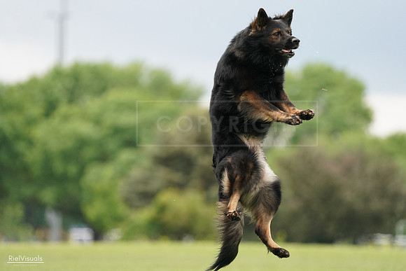 RielVisuals_20240527_132926_SJR09960