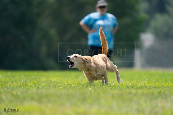RielVisuals_20240727_120011_SJR04468