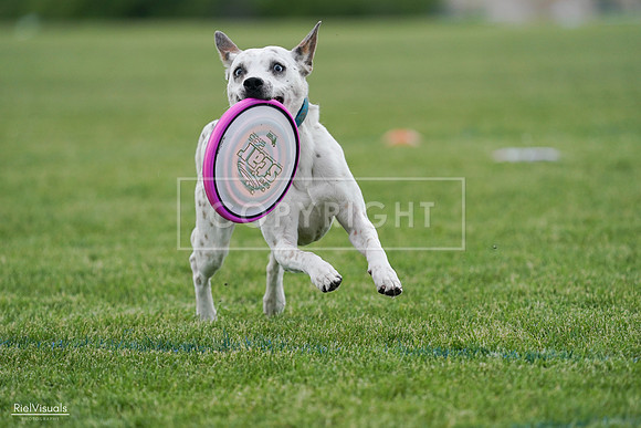 RielVisuals_20240525_135410_SJR09874