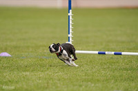 RielVisuals_20240527_142648_SJR02804