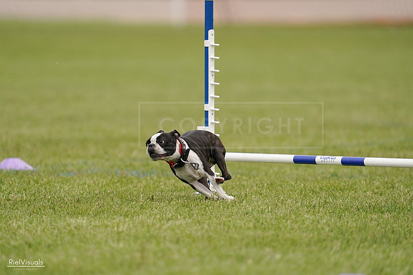 RielVisuals_20240527_142648_SJR02804