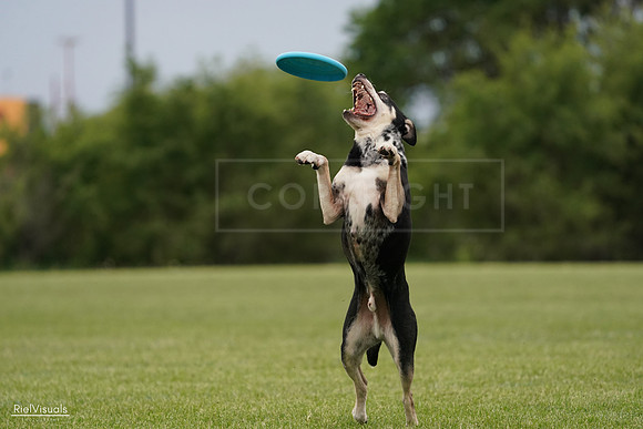 RielVisuals_20240526_134431_SJR08898