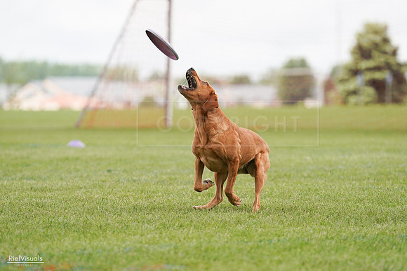 RielVisuals_20240527_141128_SJR01859