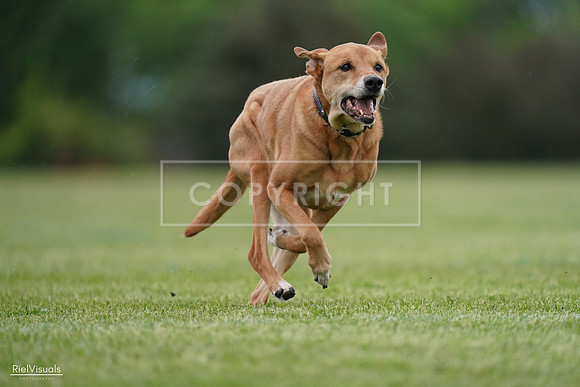 RielVisuals_20240525_161931_SJR04127