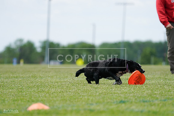 RielVisuals_20240525_124900_SJR01224