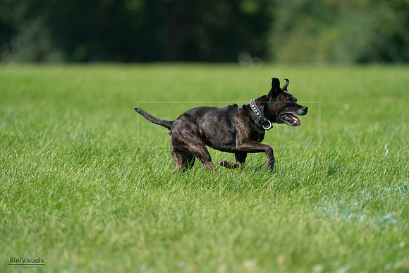 RielVisuals_20240728_103802_SJR08678