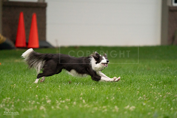 RielVisuals_20240722_192707_SJR01033