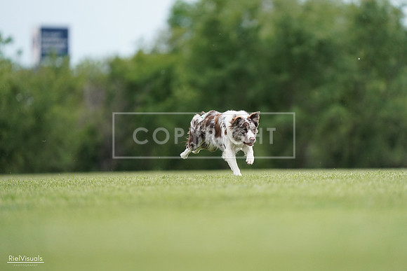RielVisuals_20240525_161037_SJR03620