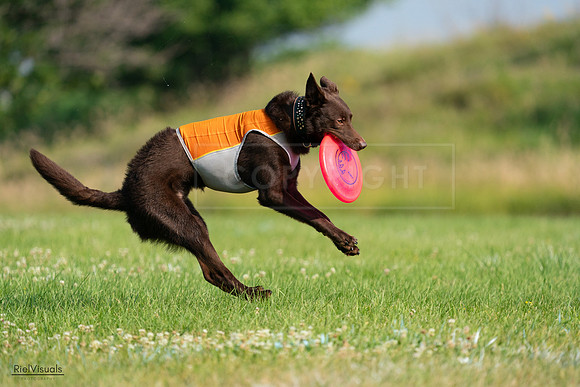 RielVisuals_20240727_092538_SJR06351
