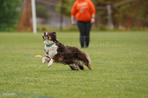 RielVisuals_20240527_132344_SJR09579