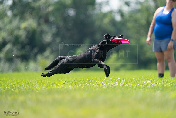 RielVisuals_20240727_125411_SJR06332